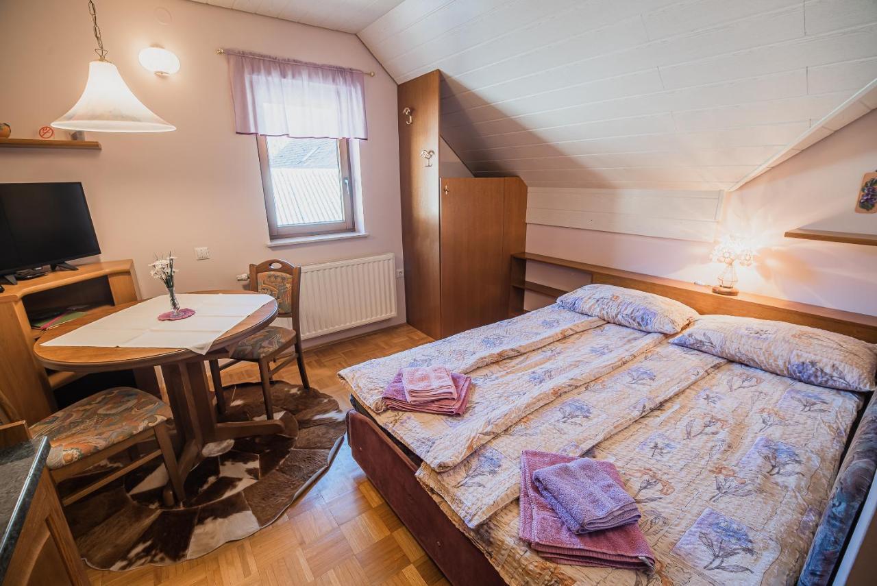 Homestay Kocka Zgornje Jezersko Exterior photo