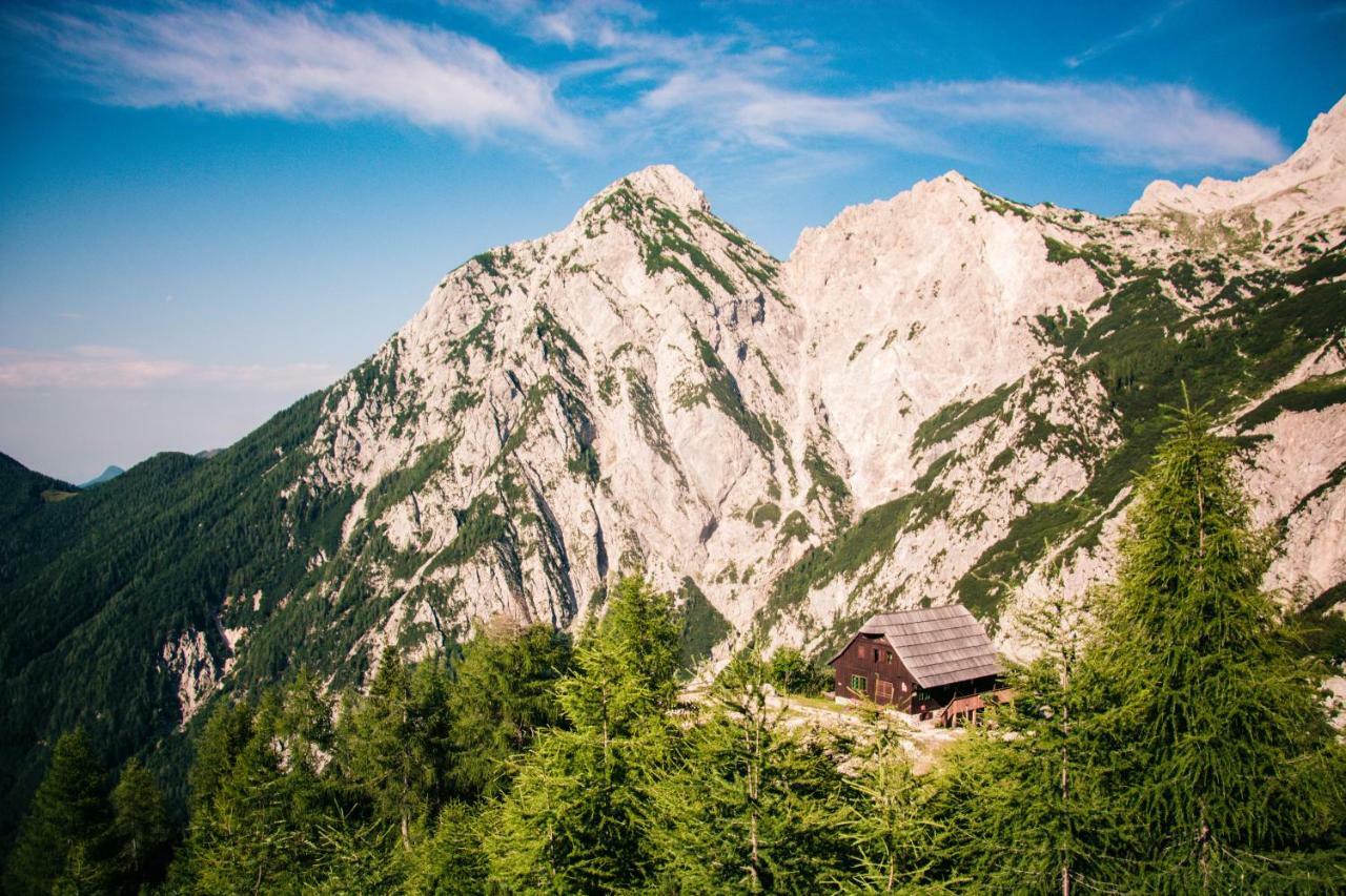 Homestay Kocka Zgornje Jezersko Exterior photo